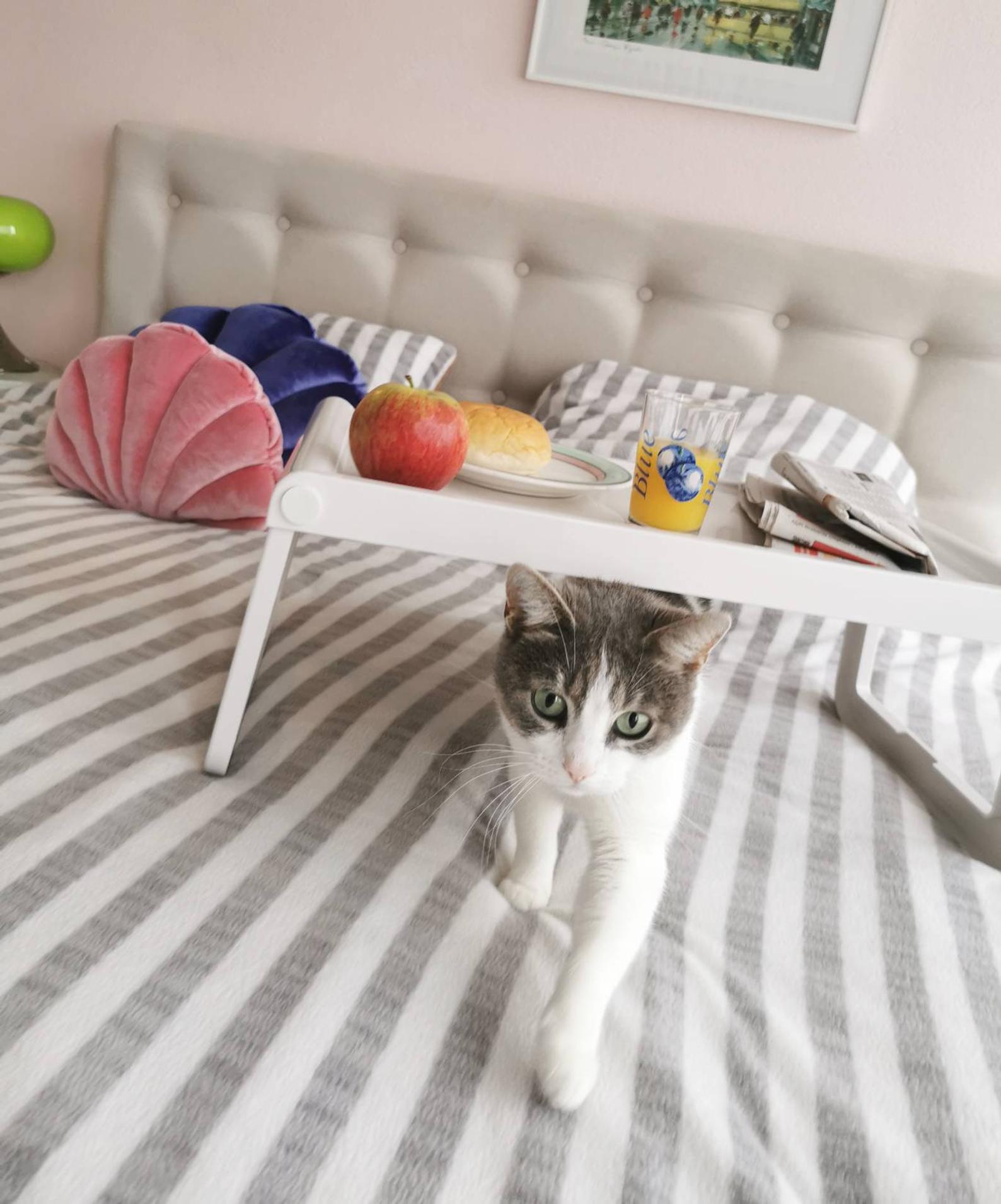 Guzzini 1980 vintage design folding tray