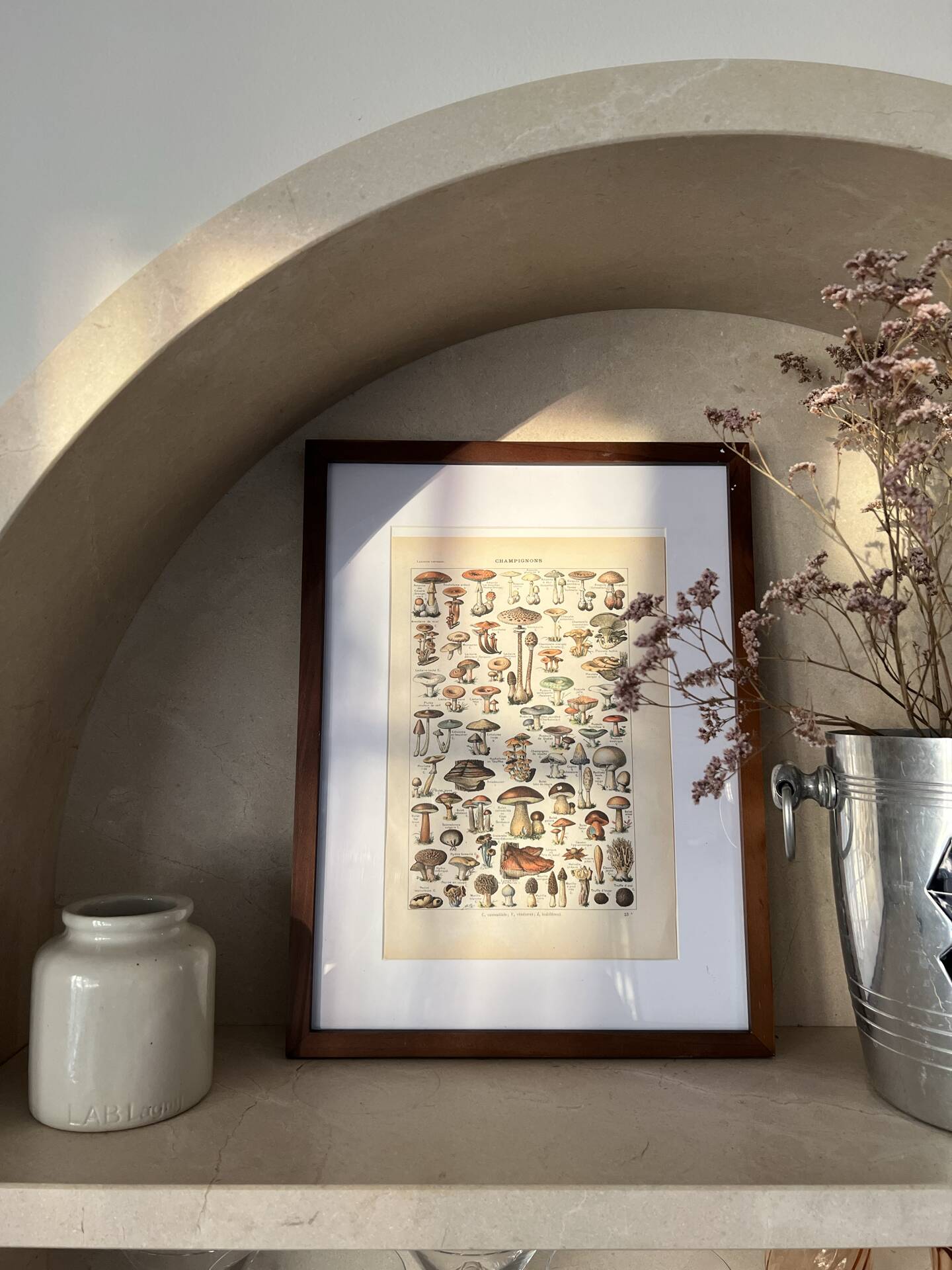 Botanical plate "Mushrooms" - 29x19.5cm