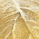 Rhubarb lamp in brass by Tommaso Barbi 1970