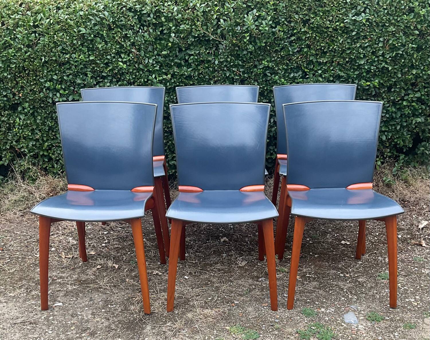 Série de 6 chaises Cassina par Josep Llusca