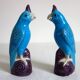 Pair of enamelled porcelain parrots, Chinese, 1960s.
