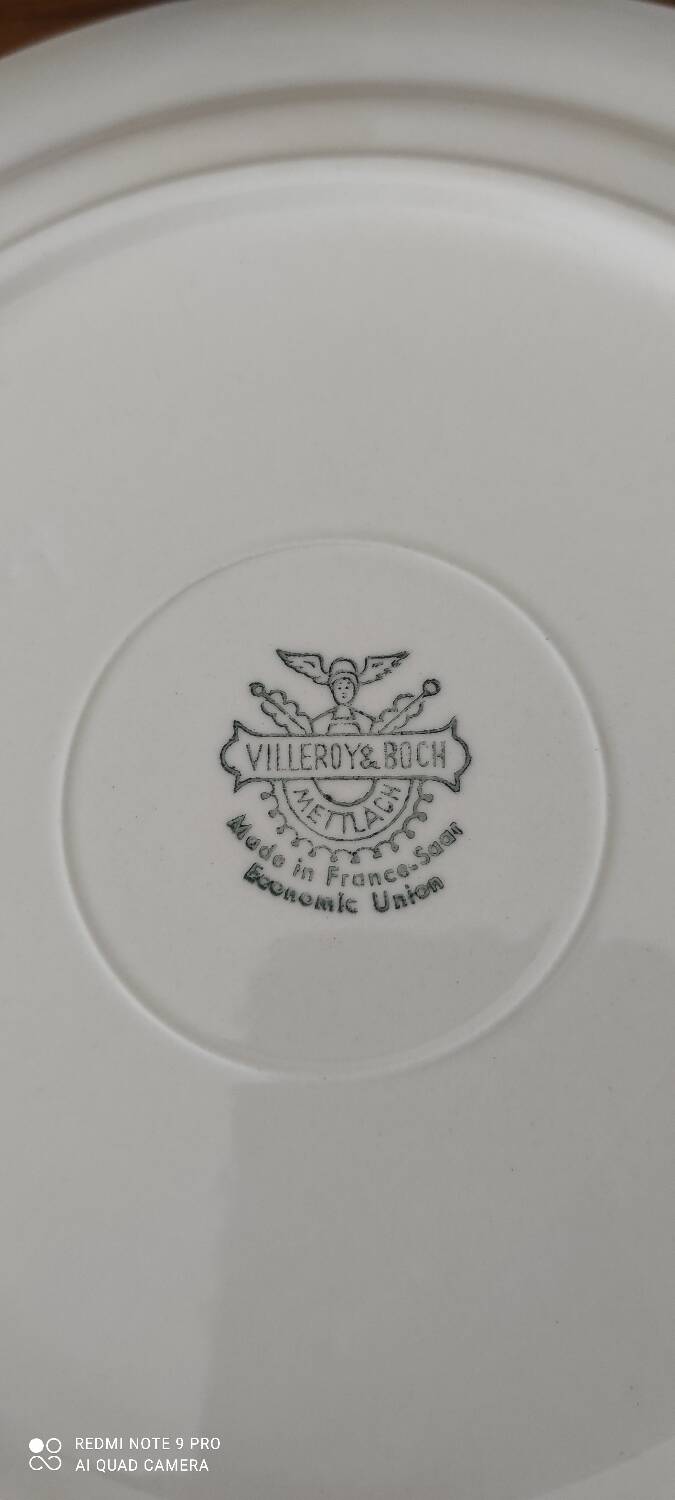 Villeroy and Boch dinner plate set