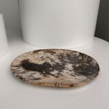 Very large empty pocket or petrified wooden flat