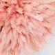 Pink Jujuhat 50 cm