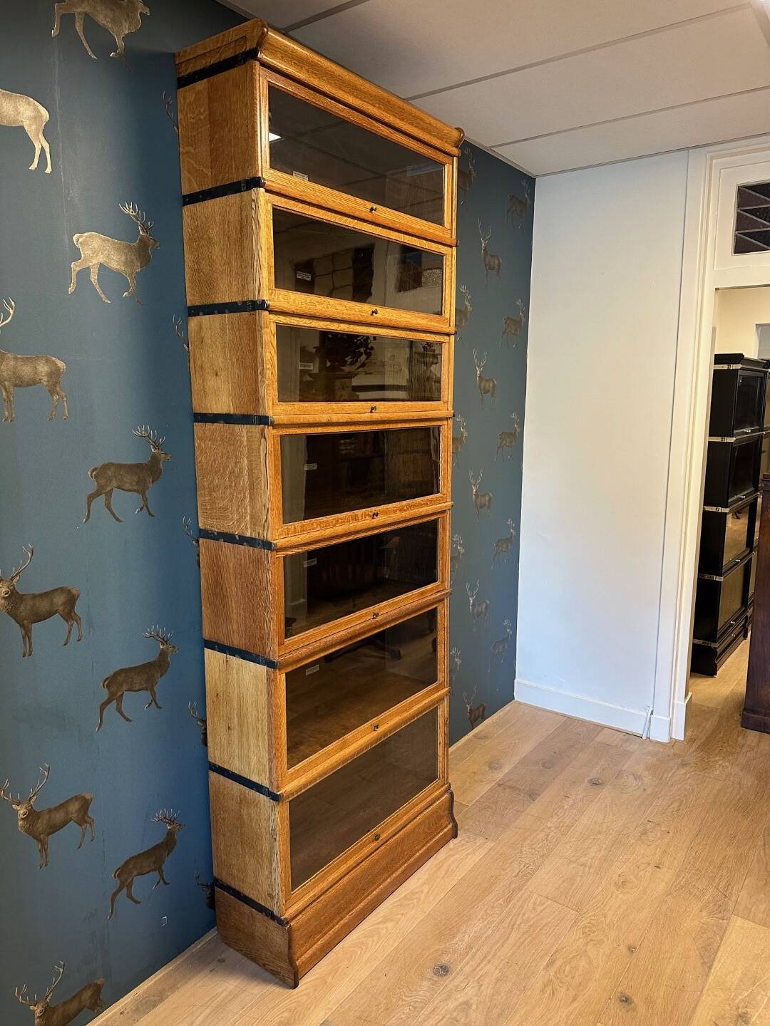 Antique Globe Wernicke Bookcase