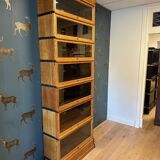 Antique Globe Wernicke Bookcase