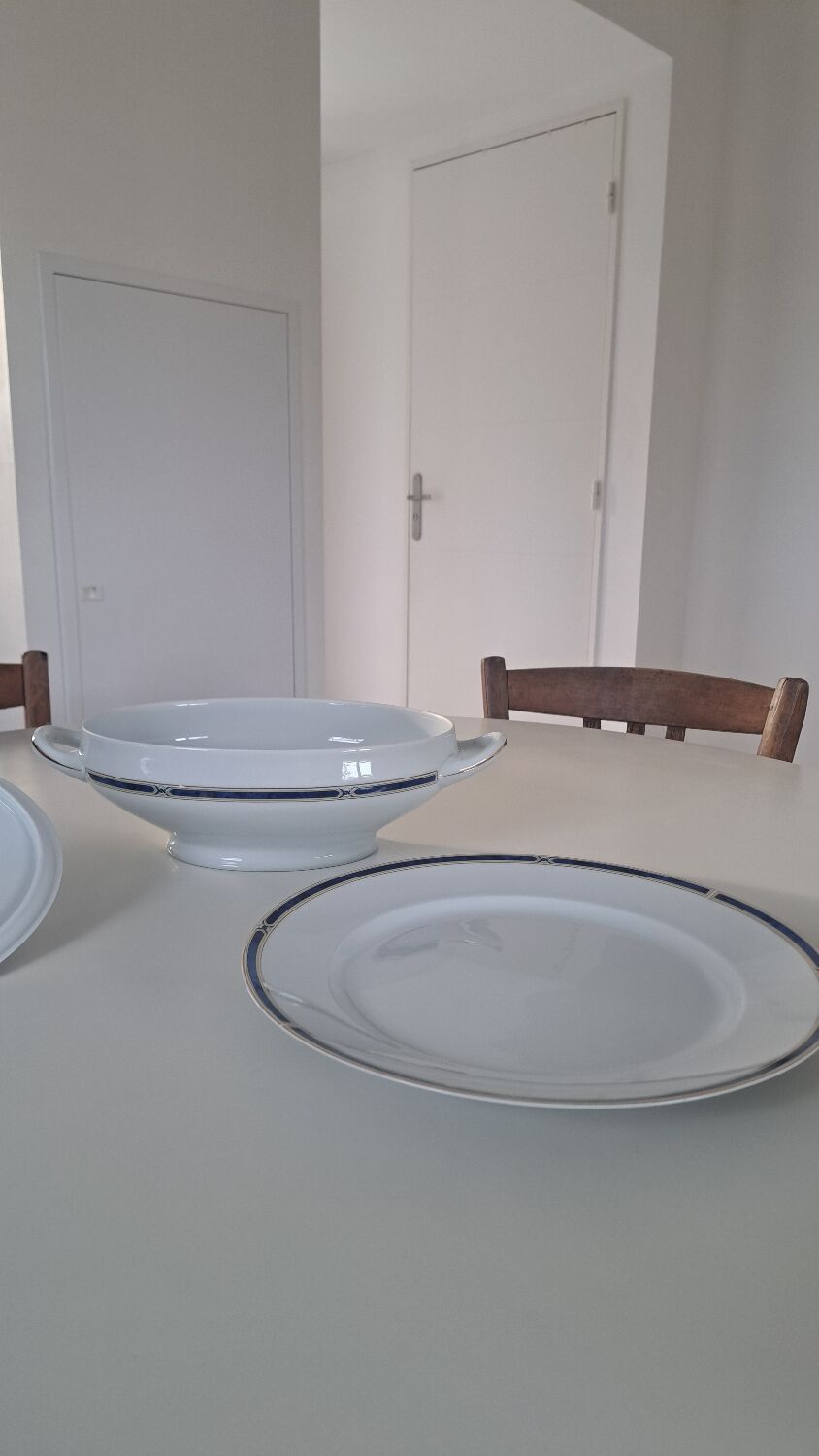 Soup tureen + Haviland plate