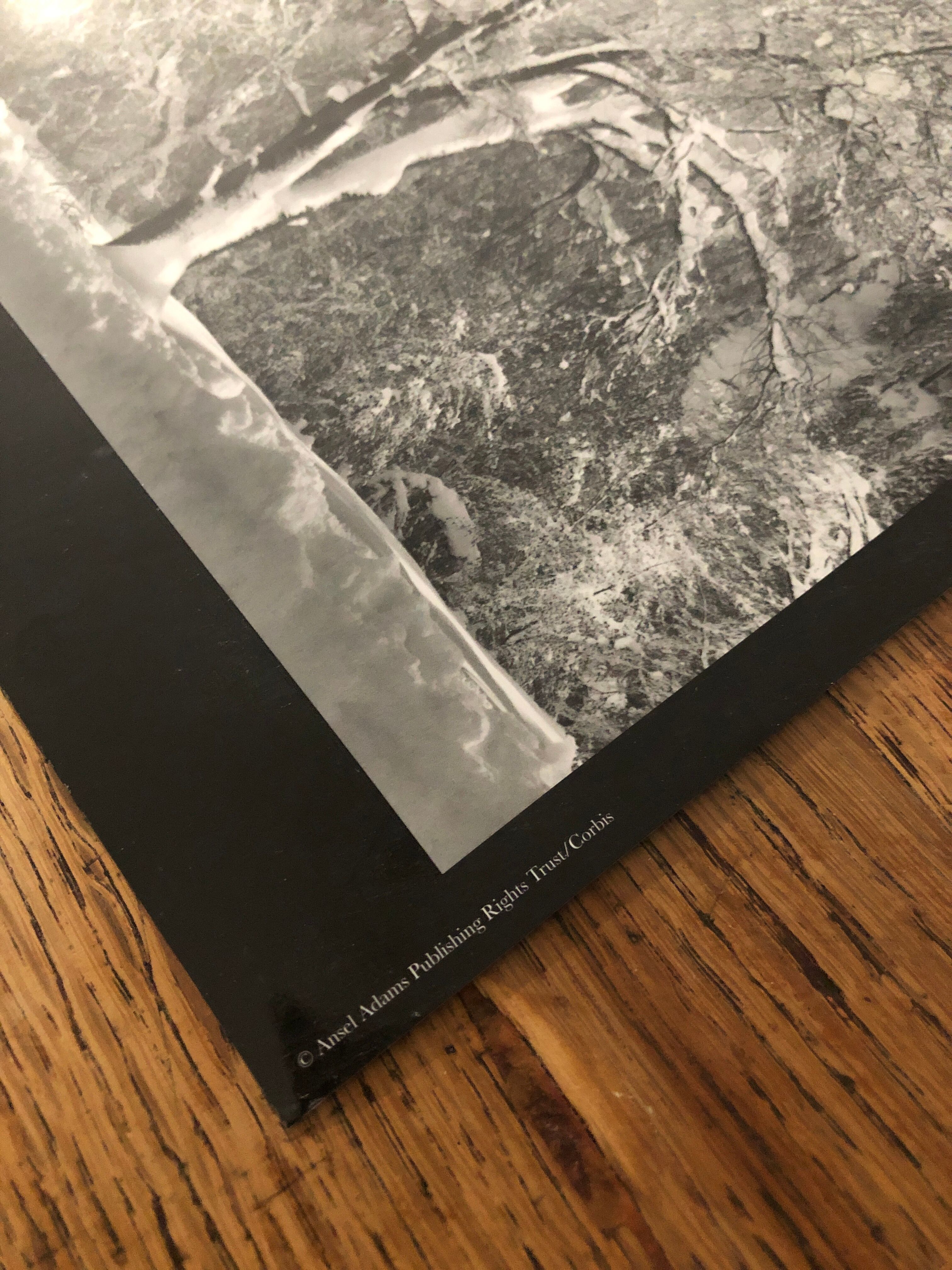 Photography snow tree