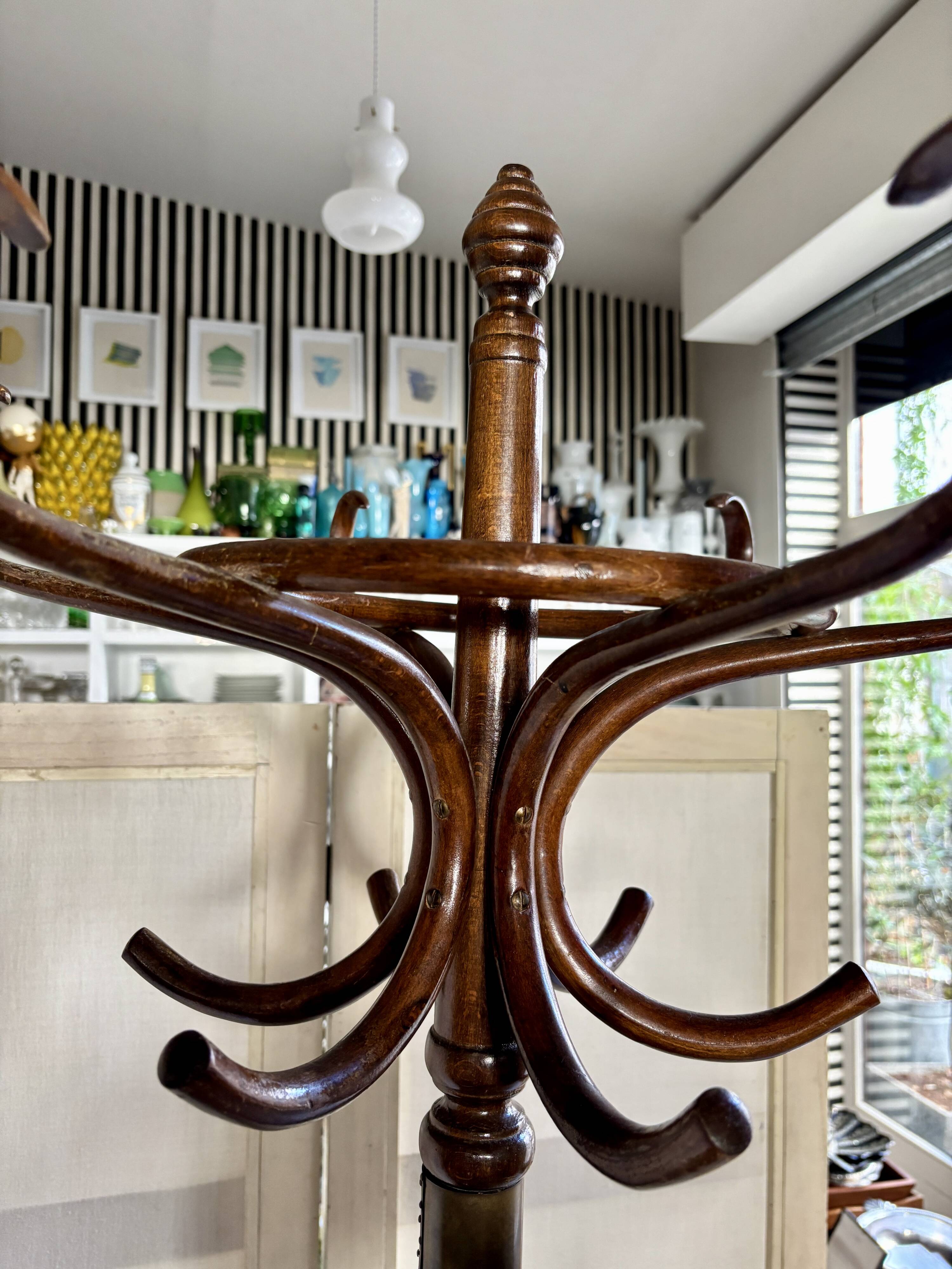 Parrot coat rack with 6 hooks in dark bent beech