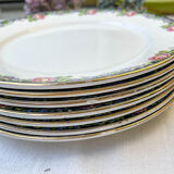 7 opaque porcelain dinner plates Digoin floral pattern 3984