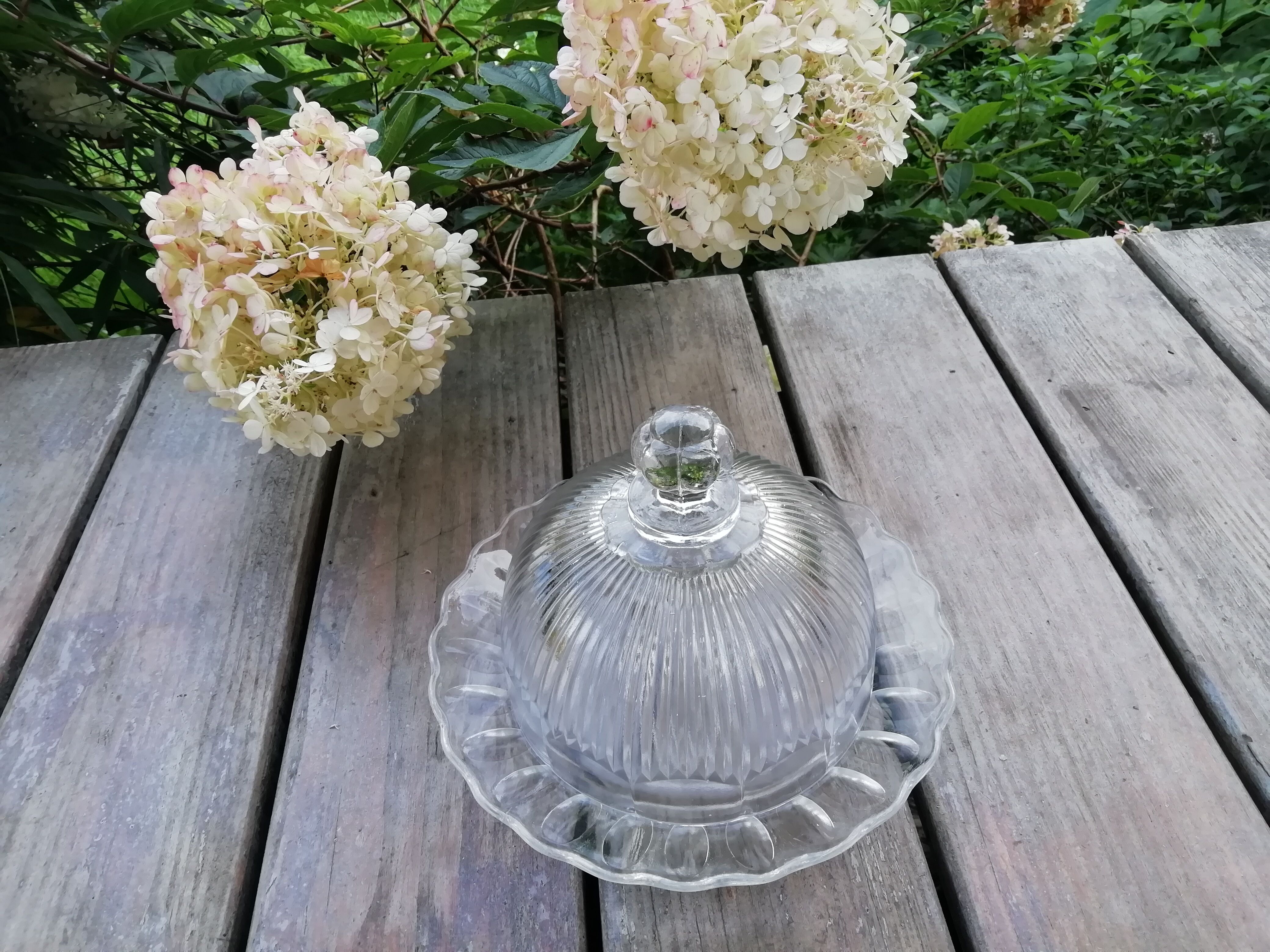 Glass bell and matching top
