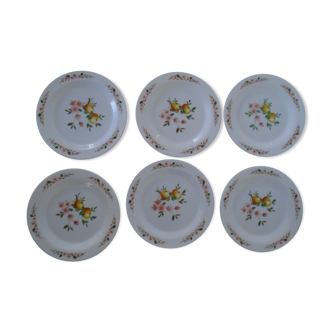 6 plates dessert decoration apples and apple blossoms Arcopal France