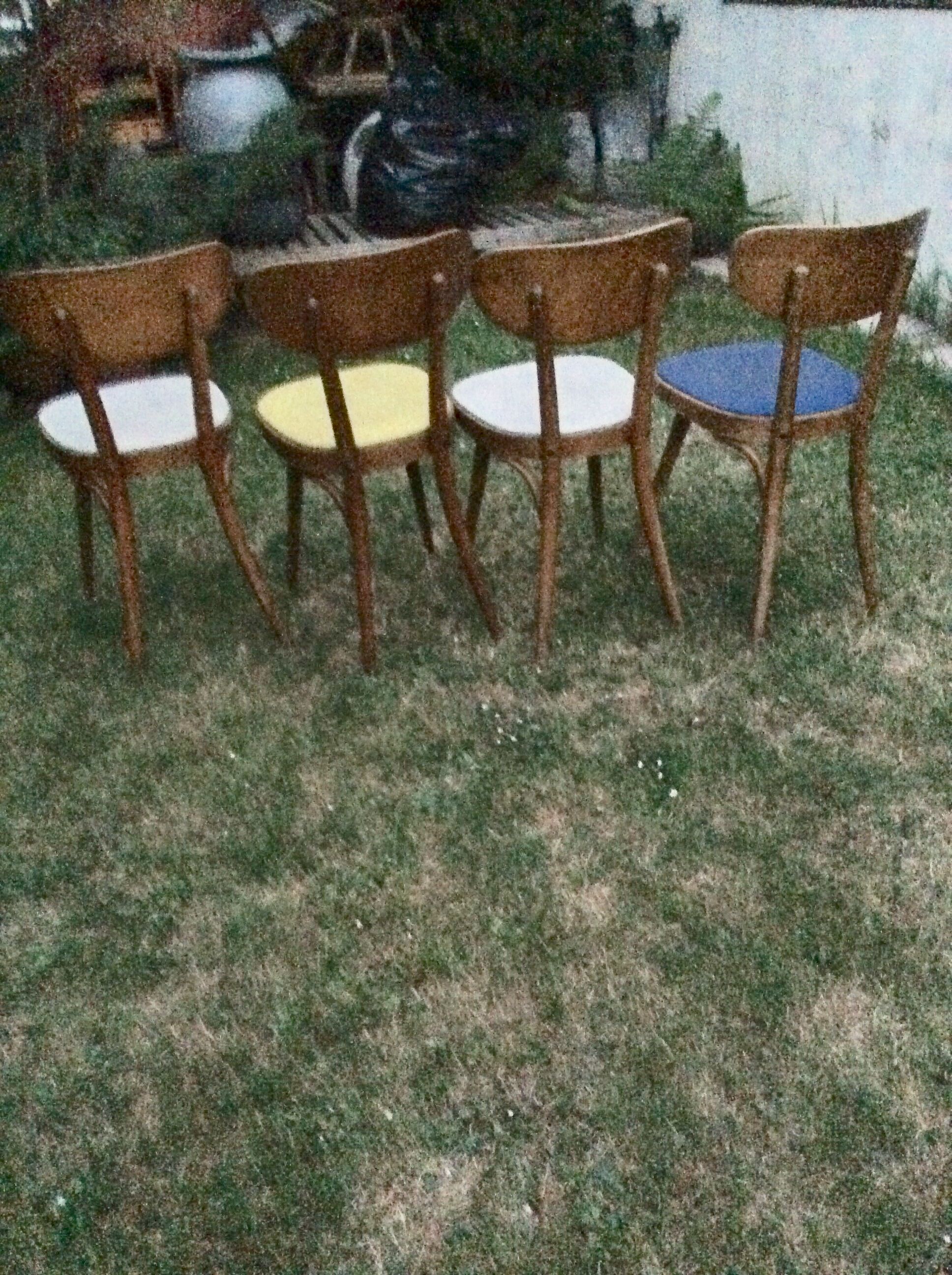 Baumann chairs