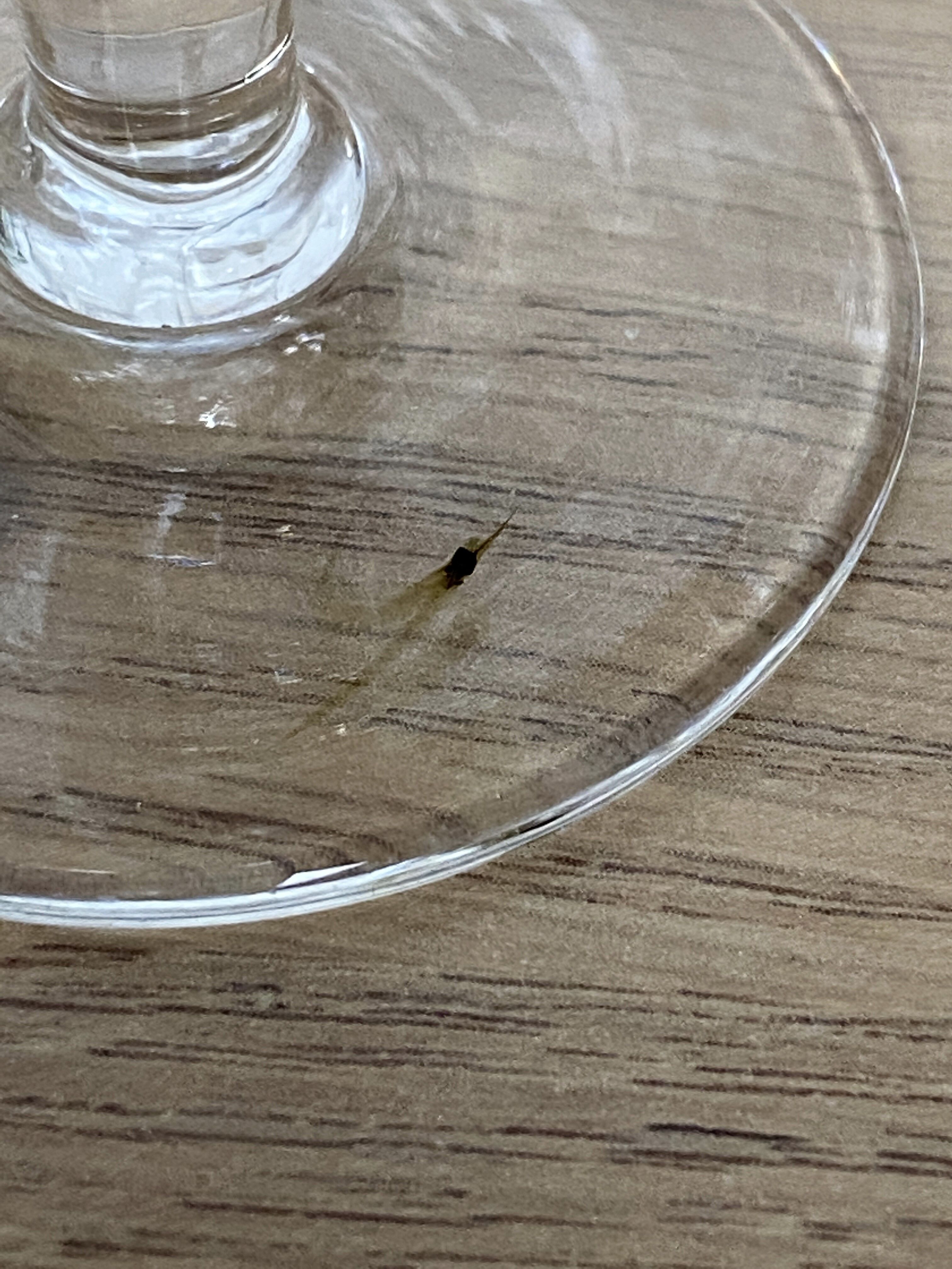 Set of 6 engraved wine glasses