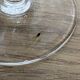 Set of 6 engraved wine glasses