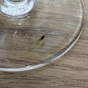 Set of 6 engraved wine glasses