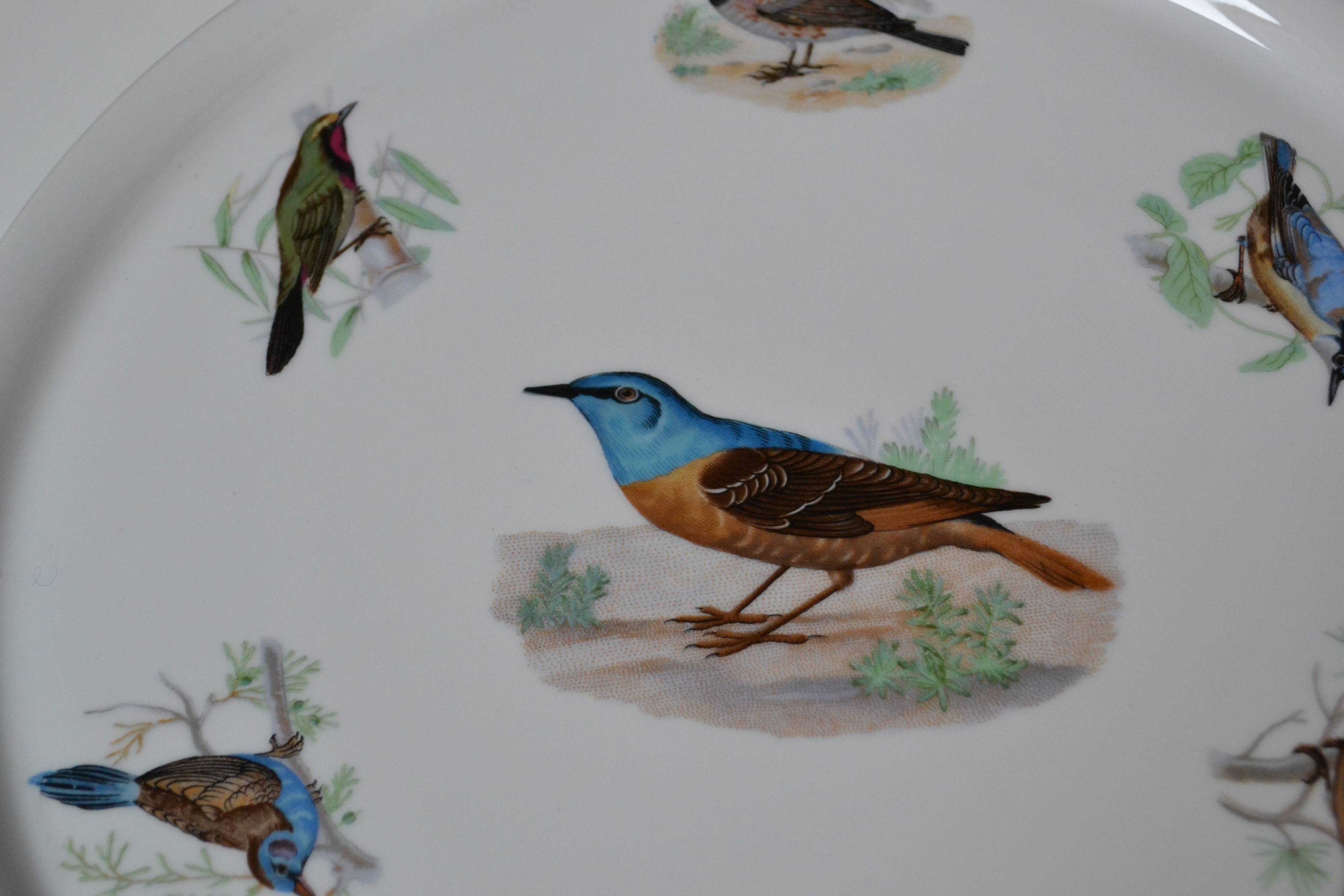 Pie dish Porcelaine du Berry L. Lourioux motif birds aviary