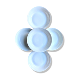 Set of 5 hollow plates in Limoges porcelain