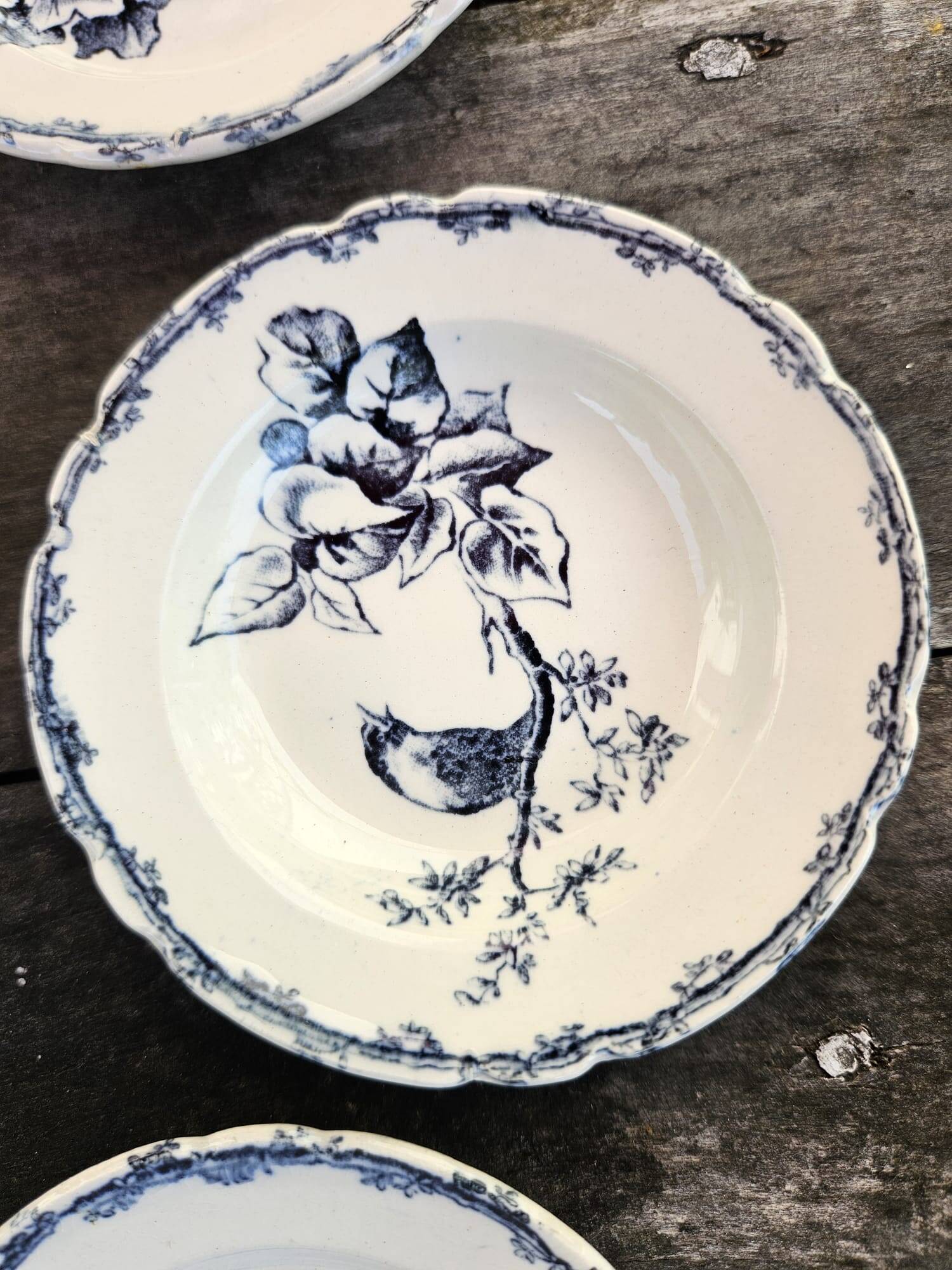 Dinette Terre de Fer Sarreguemines