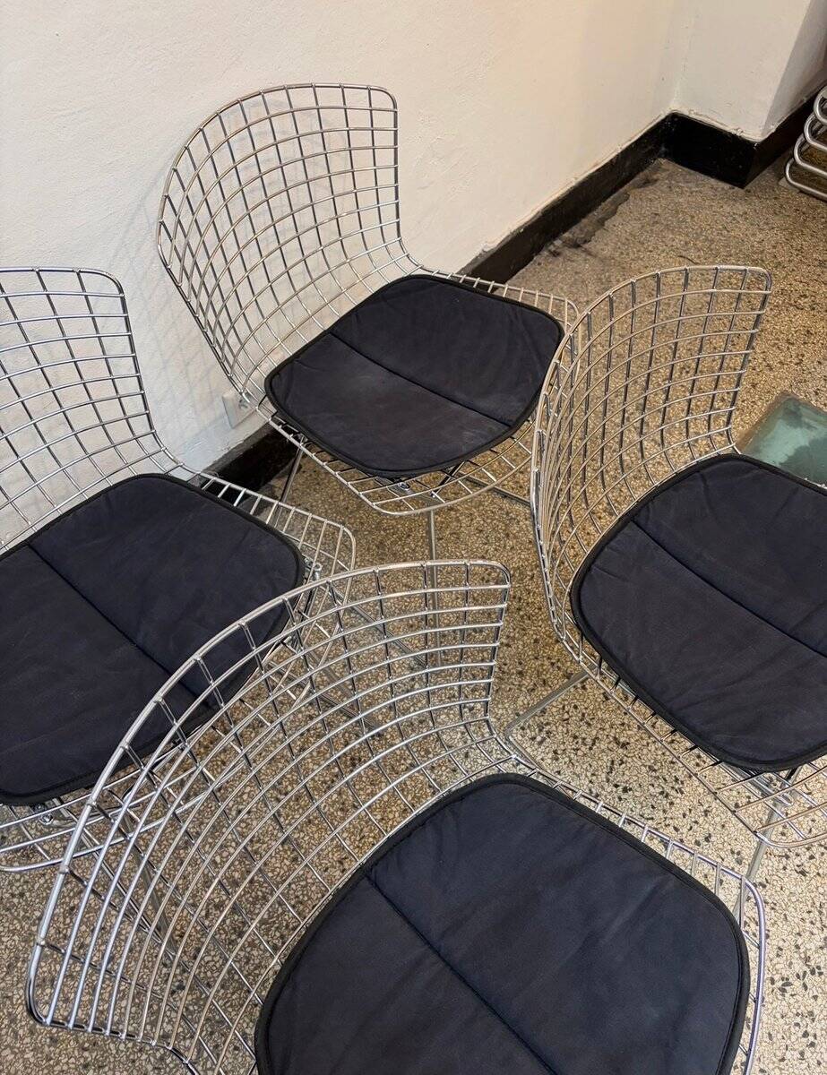 Chrome-plated side chairs by Harry Bertoia for Knoll, 1970s, set of 4