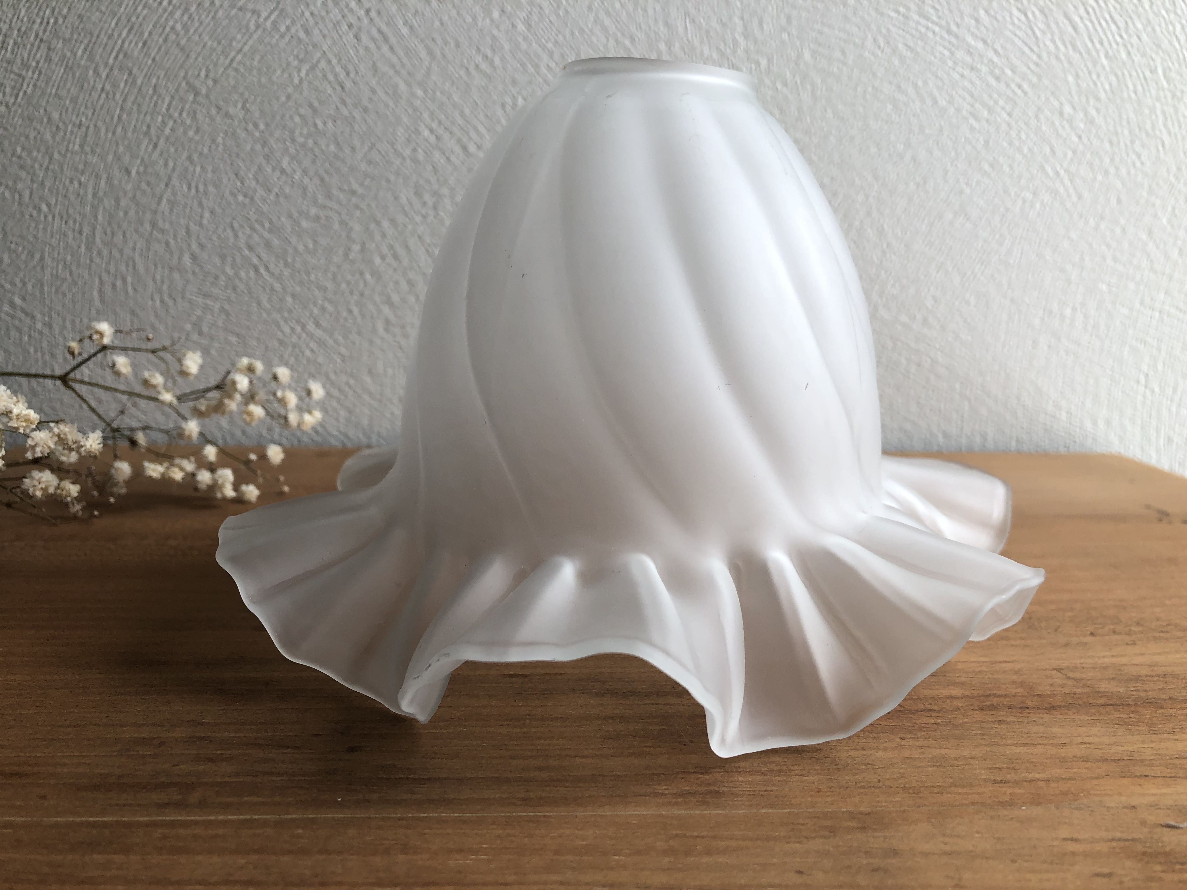 Globe tulipe point luminaire