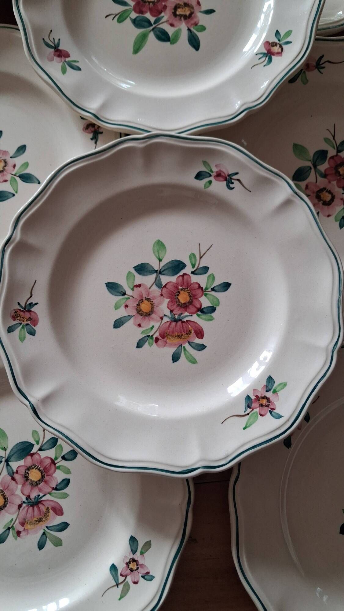 Amazonas plates Sarreguemines