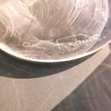 12 Daum Verona Collection champagne flutes