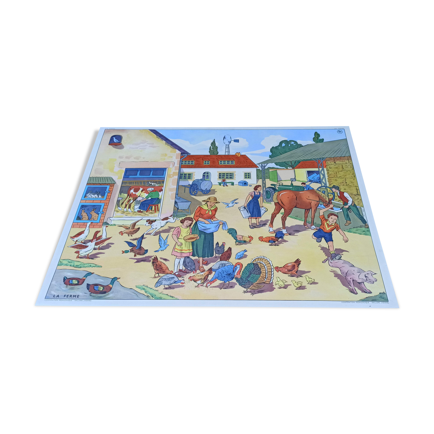 School poster two/back 76 x 56 - reading sheet the farm / construction