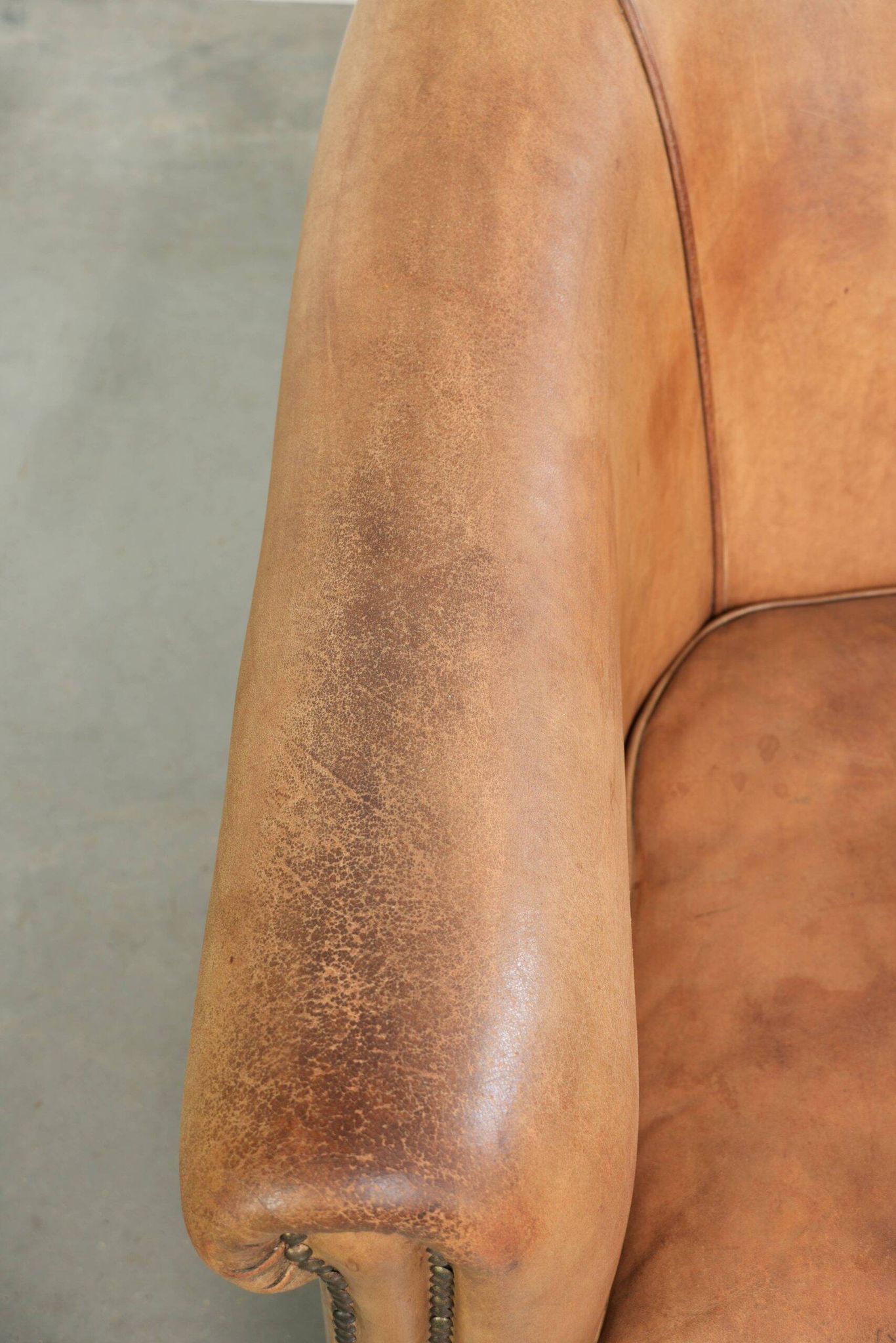 Comfortable sheepskin club armchair in a cognac colour