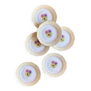 lot de 6 assiettes à - dessert