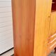 Scandinavian secretary cabinet