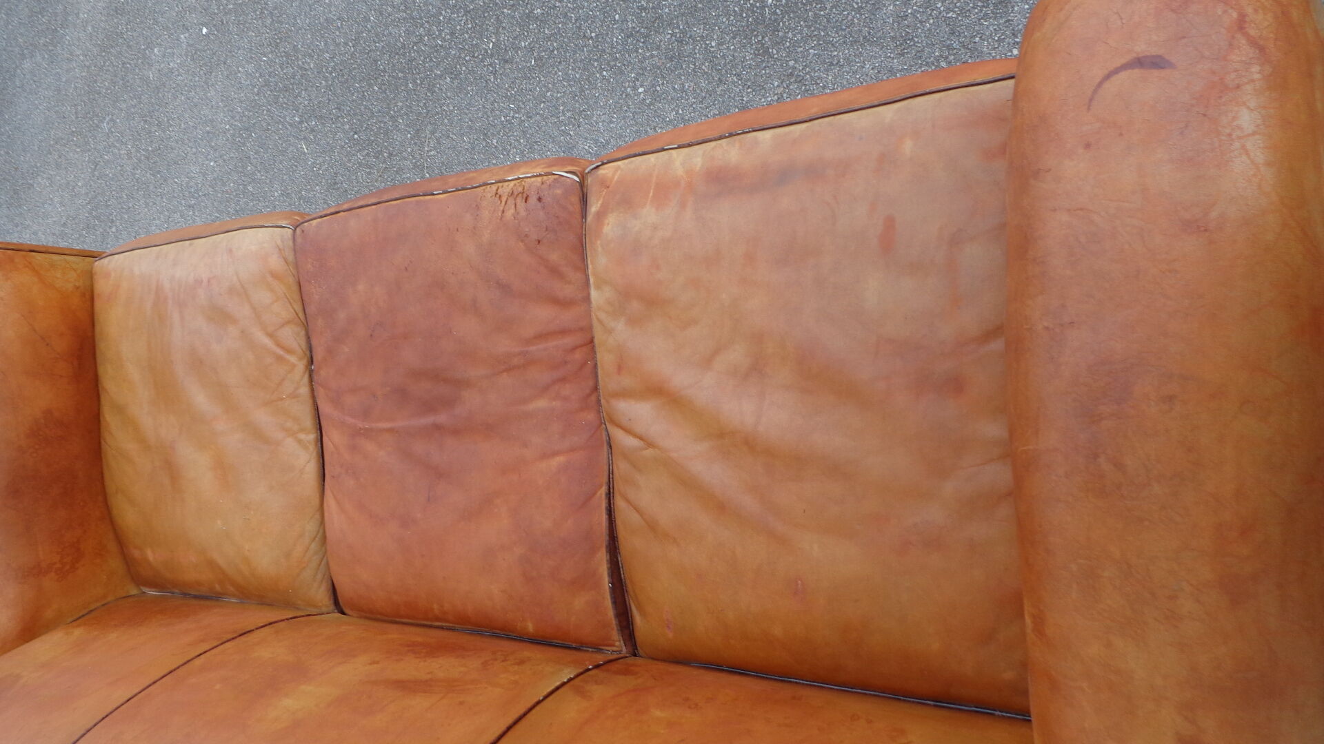 Sofa club leather mustache