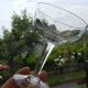 Set of 6 antique glass champagne glasses.