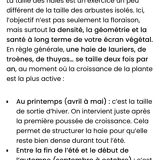 Directoire cherry wood bookcase