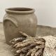 Glazed stoneware pot with ears