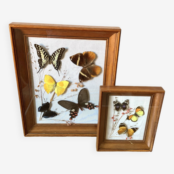 Set of two vintage butterfly frames