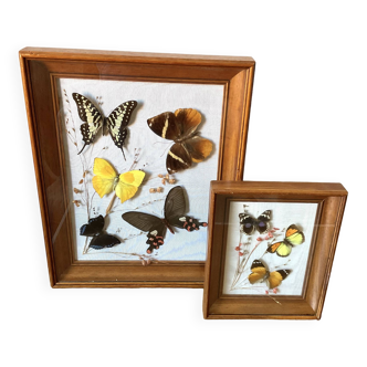 Set of two vintage butterfly frames