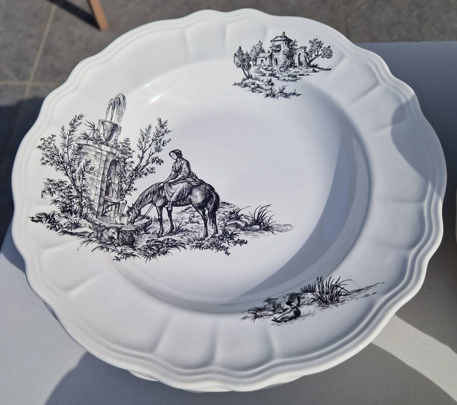 Salins earthenware table service model Chantal, 55 pieces.