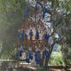 Lustre cage italien vintage