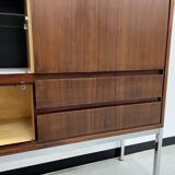 African rosewood drink cabinet, circa 1950