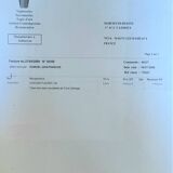 AUBUSSON TAPESTRY Unique model based on a cartoon by Alain Queyrut