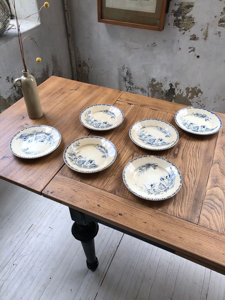 6 iron earth plates model "Marthe"