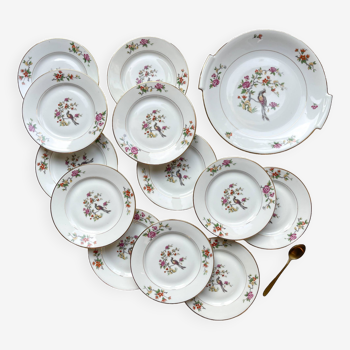 Vintage dessert service for 12 people in PN France porcelain, bird of paradise pattern