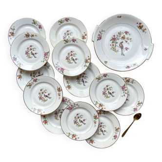 Vintage dessert service for 12 people in PN France porcelain, bird of paradise pattern