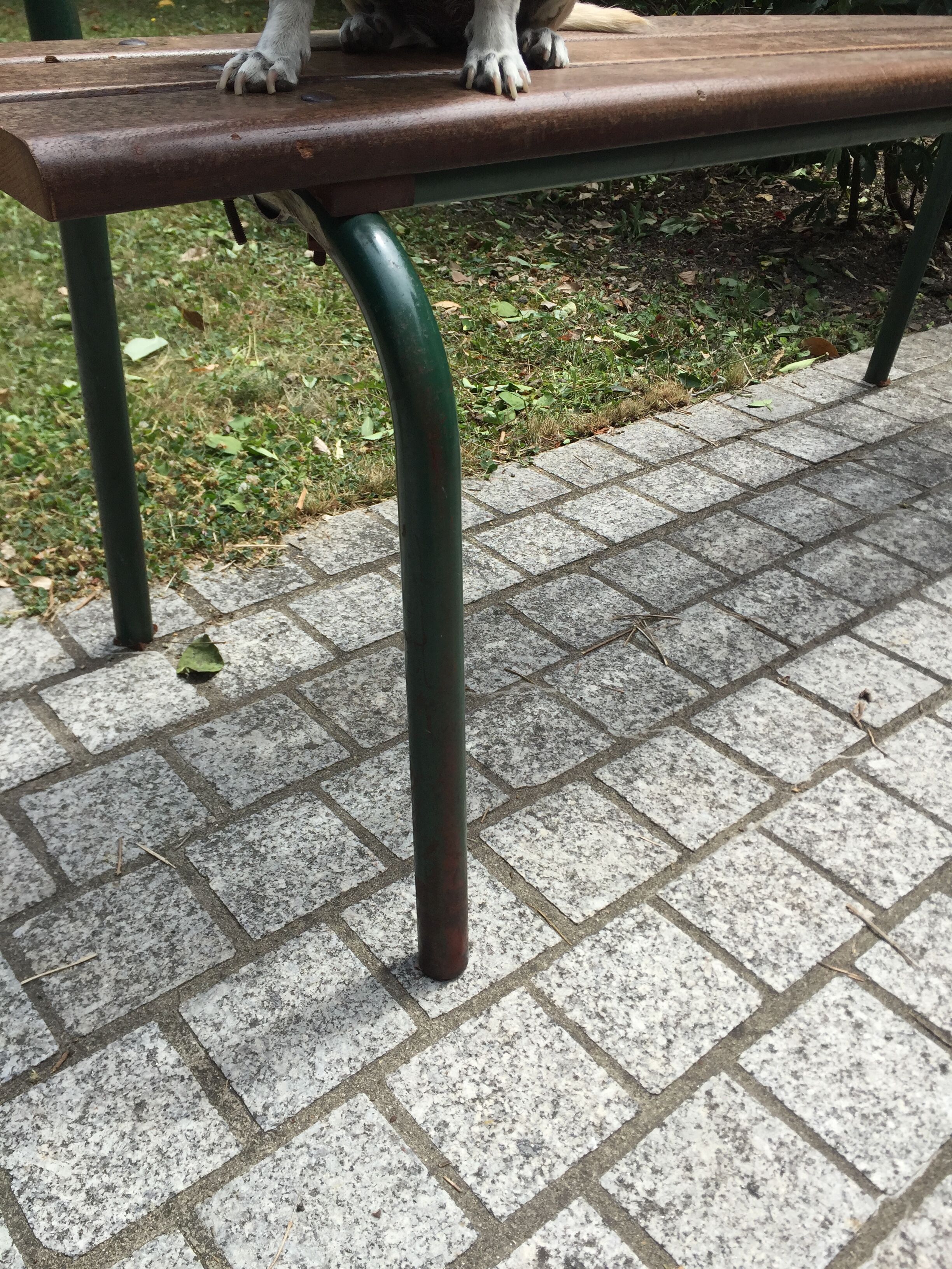 School bench with backrest