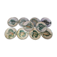 Series of 10 flat plates robert picault - 60s - fish series