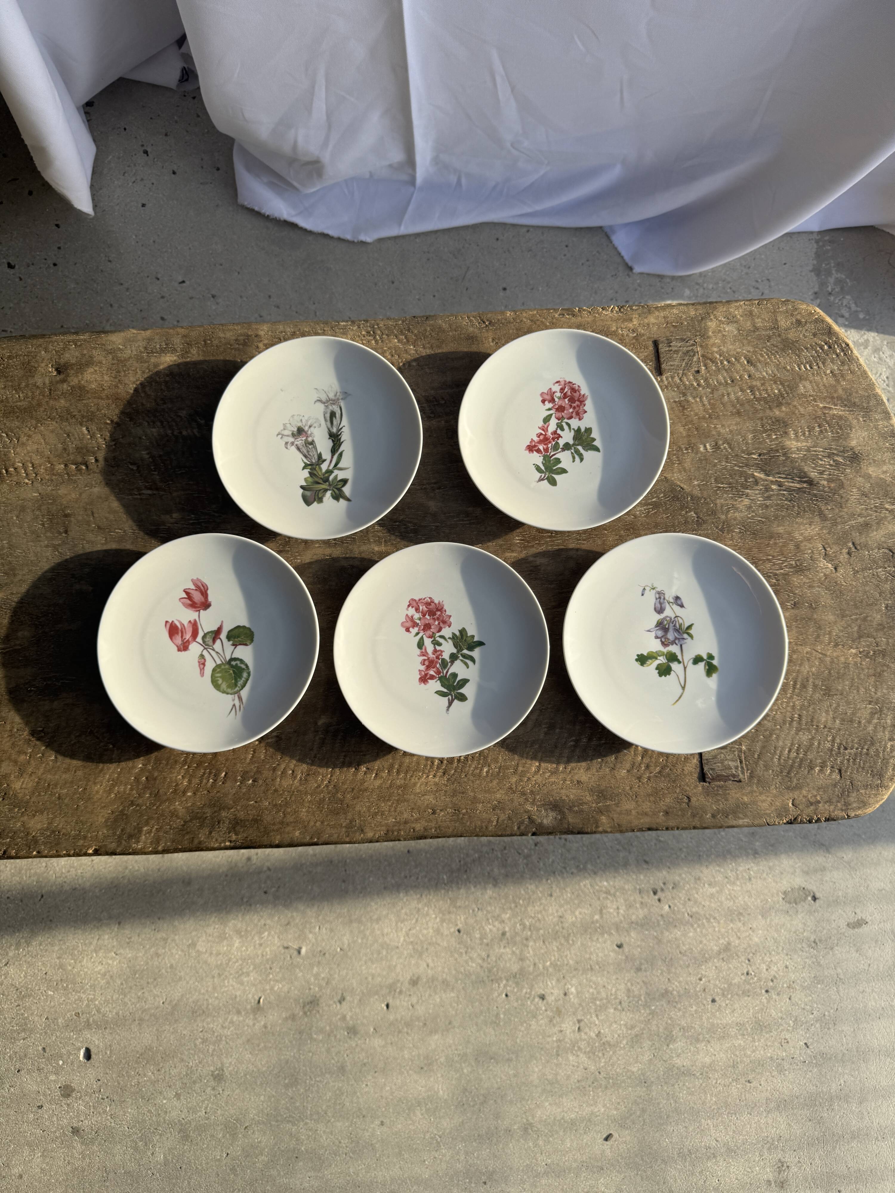 Set of 5 dessert plates with flower patterns Germany Bavaria D19