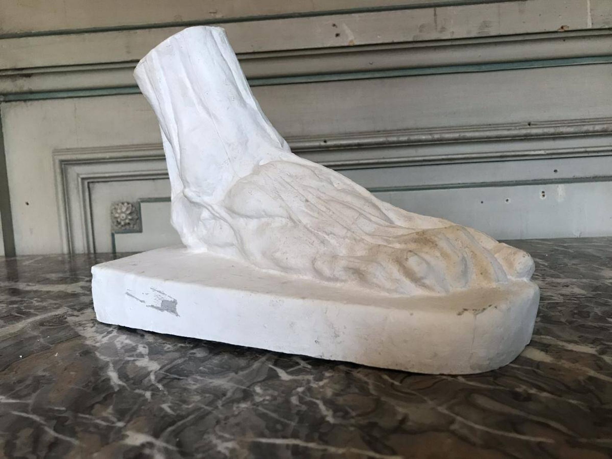 Plaster cast of a dissected foot
