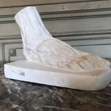 Plaster cast of a dissected foot