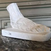 Plaster cast of a dissected foot